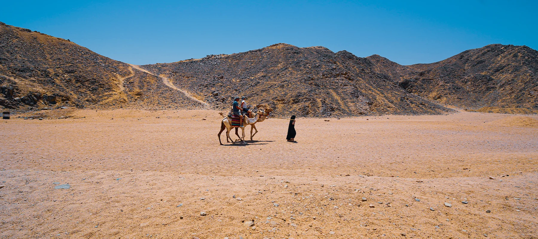 Desert Safari by Moto Quad with Camel Riding in Hurghada by vivaegypttravel.com