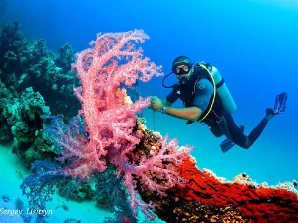 Hurghada Intro Diving Trip with Lunch & Two Dive Sites – Day Trip