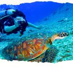 Diving-in-the-red-sea-hurghada trips