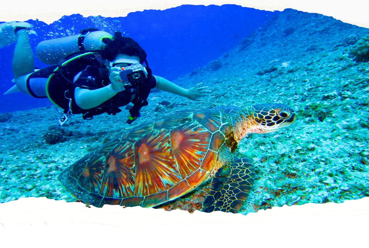 Diving-in-the-red-sea-hurghada trips
