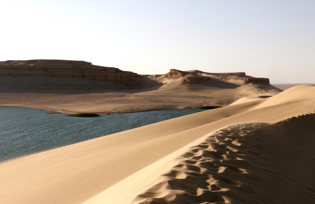 Lake in the desert - Faiyum trip
