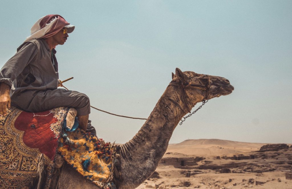 Camel-Riding - Holidays to Egypt