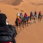 Sahara Trips and Sahara Egypt Trips