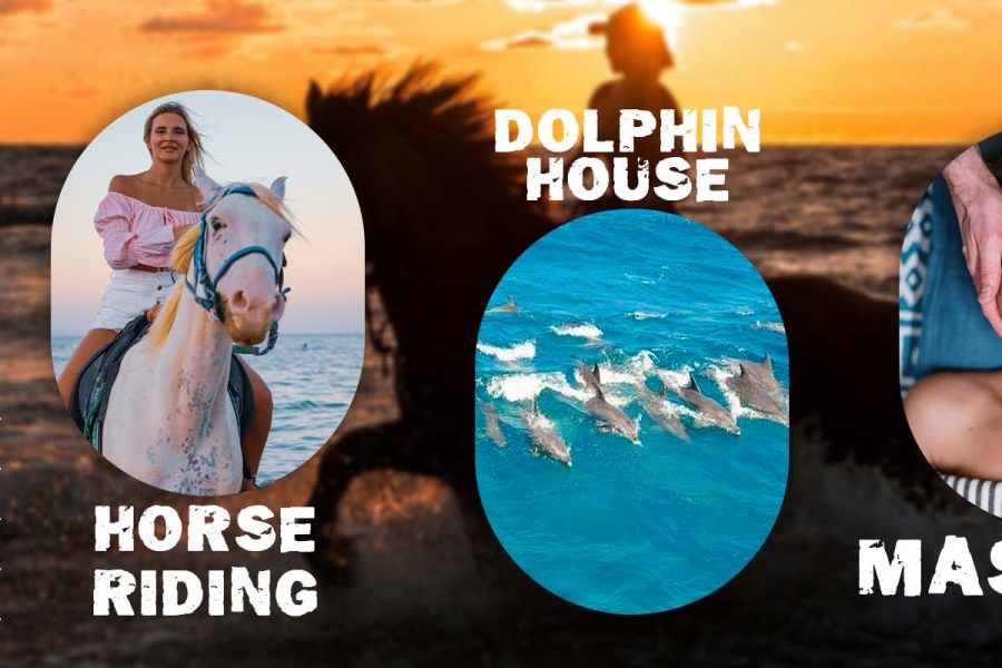 Massage & Horse Riding & Dolphin house