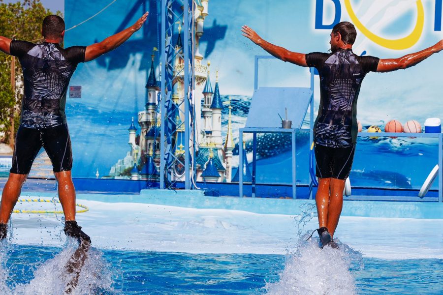 Dolphin Show Hurghada Egypt: An Unforgettable Experience